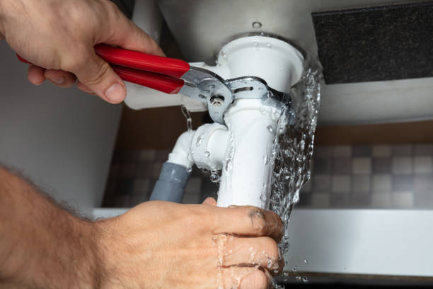 Best 24/7 water damage repair  in Madelia, MN