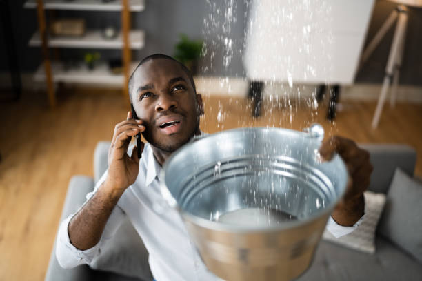 Best Flood damage cleanup  in Madelia, MN
