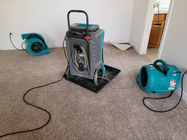 Best Water damage contractors near me  in Madelia, MN