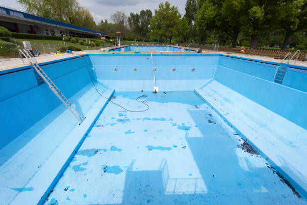 Best Sewage cleanup and water damage restoration  in Madelia, MN