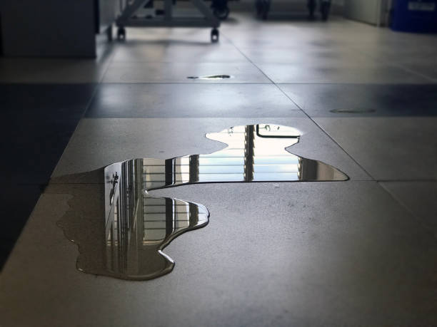 Best Water damage restoration company  in Madelia, MN