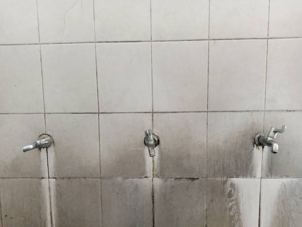 Water damage restoration experts in Madelia, MN