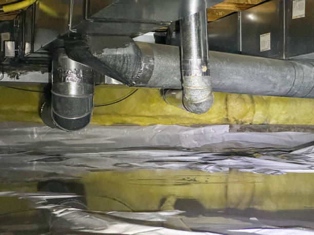 Best Mold removal after water damage  in Madelia, MN