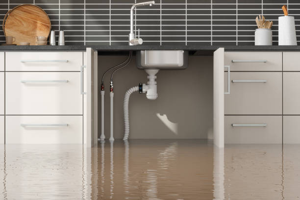 Best Emergency water damage restoration  in Madelia, MN
