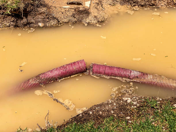 Madelia, MN Water damage restoration Company