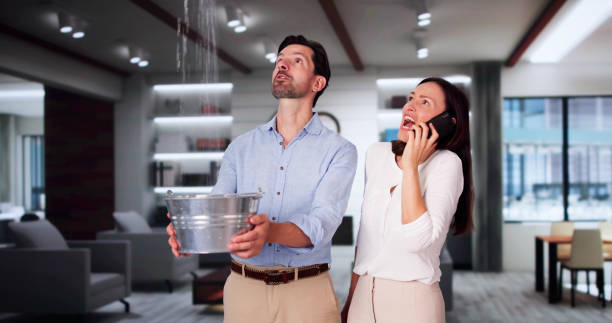 Best Water damage contractors near me  in Madelia, MN