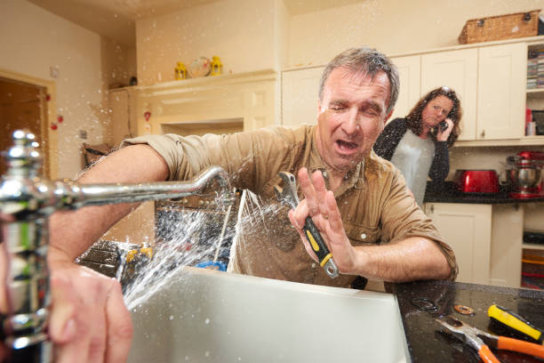 Best Carpet water damage restoration  in Madelia, MN